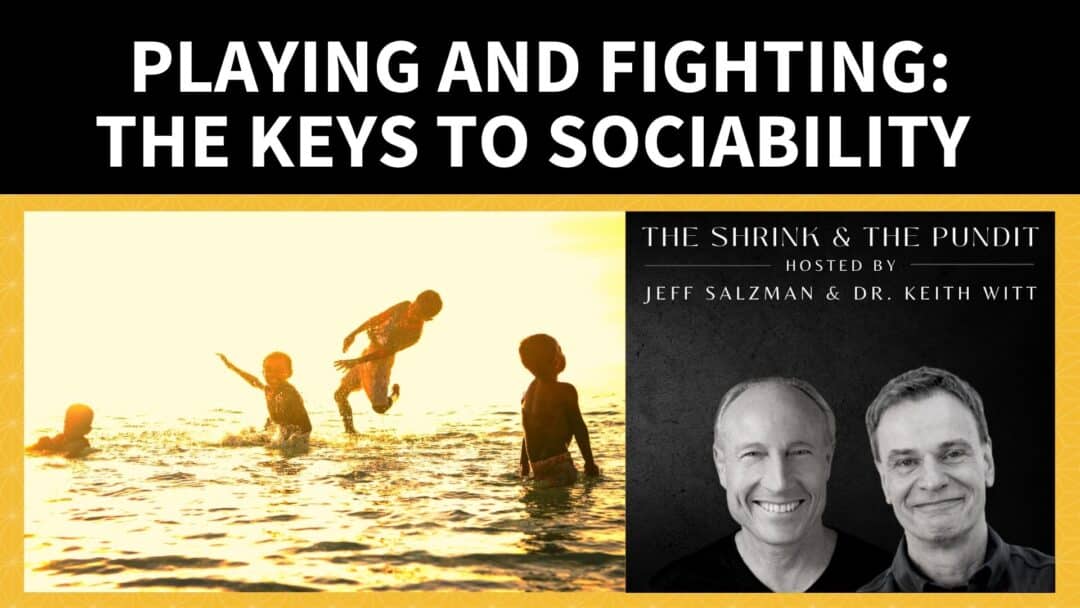 Playing and Fighting: The Keys to Sociability The Shrink The Pundit